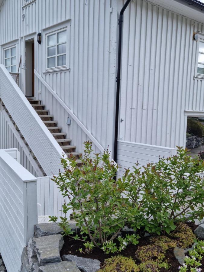 Loftsleilighet Midt I Sentrum Skjervoy Ngoại thất bức ảnh