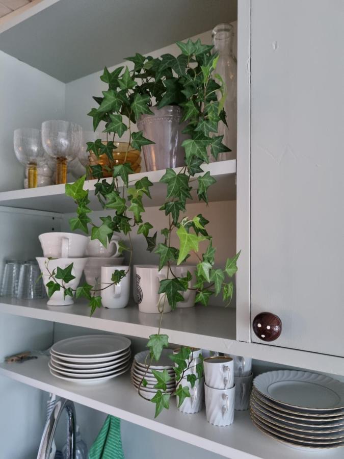 Loftsleilighet Midt I Sentrum Skjervoy Ngoại thất bức ảnh